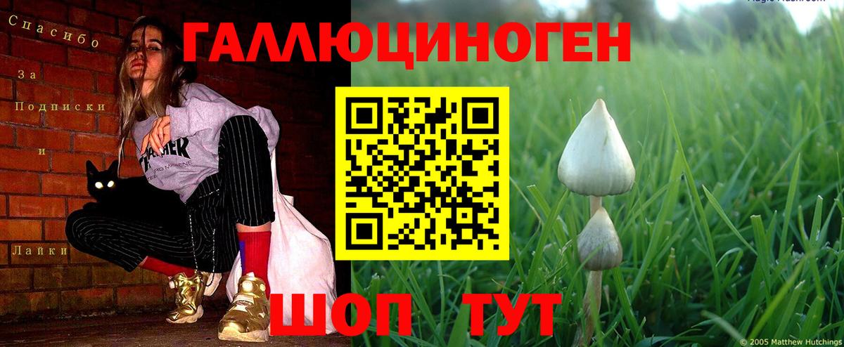 Галлюциногенные грибы мухоморы  Вход с VPN  Чехов  Галлюциногенные грибы GOLDEN TEACHER 