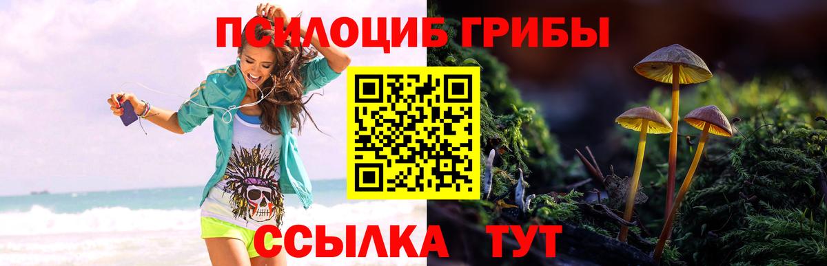 Псилоцибиновые грибы мухоморы Чехов