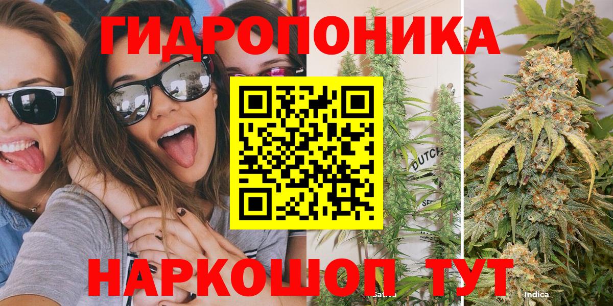 Бошки Шишки план  Шишки марихуана ГИДРОПОН  Шишки марихуана White Widow  Вход с VPN  Чехов  Шишки марихуана тримм 